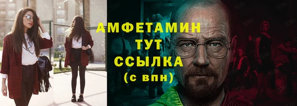 ГАЛЛЮЦИНОГЕННЫЕ ГРИБЫ Бородино