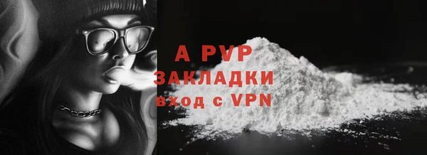 ГАЛЛЮЦИНОГЕННЫЕ ГРИБЫ Бородино