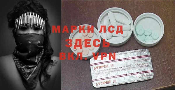 ГАЛЛЮЦИНОГЕННЫЕ ГРИБЫ Бородино