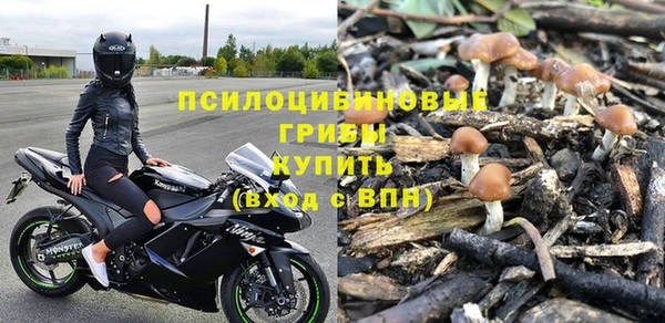 ГАЛЛЮЦИНОГЕННЫЕ ГРИБЫ Бородино