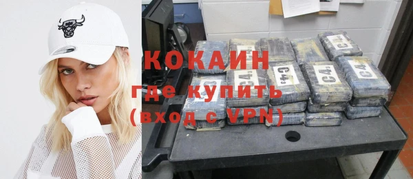 ГАЛЛЮЦИНОГЕННЫЕ ГРИБЫ Бородино