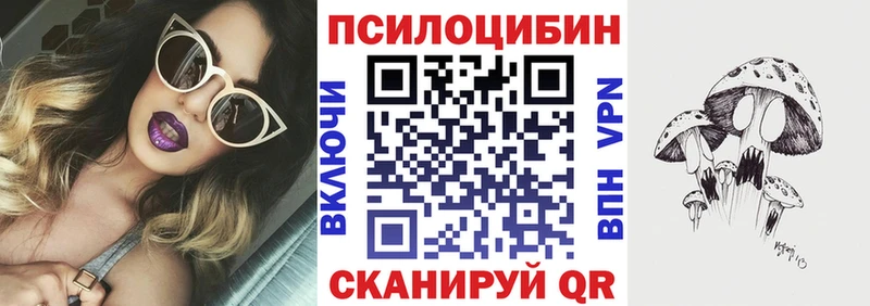Купить где  Ртищево  Галлюциногенные грибы мицелий 